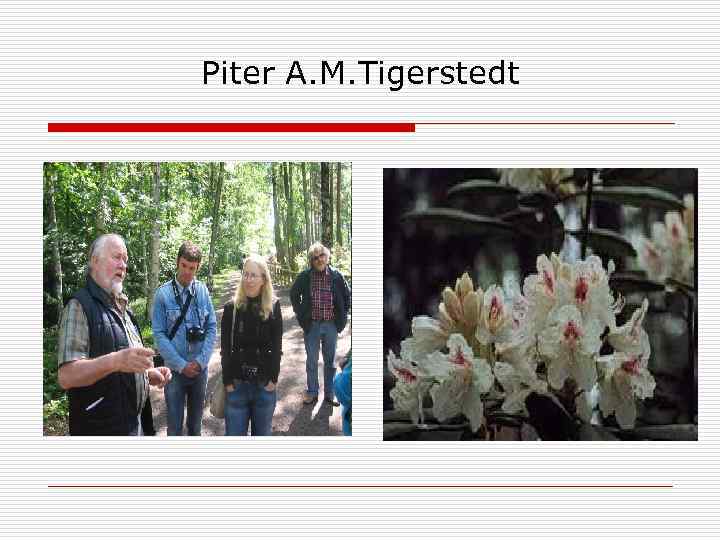 Piter A. M. Tigerstedt 