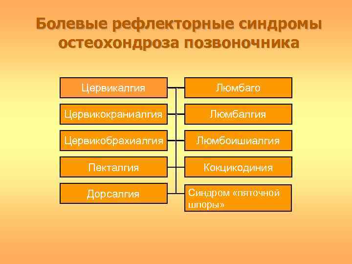 Болевой рефлекс