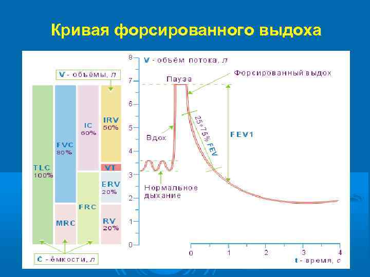 Кривая форсированного выдоха 