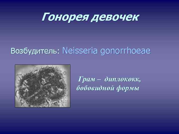 Гонорея девочек Возбудитель: Neisseria gonorrhoeae Грам – диплококк, бобовидной формы 