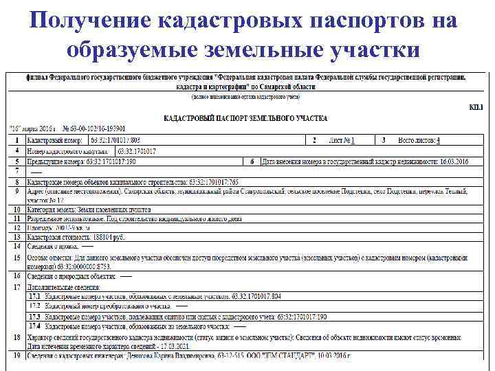 Получение кадастровых паспортов на образуемые земельные участки 