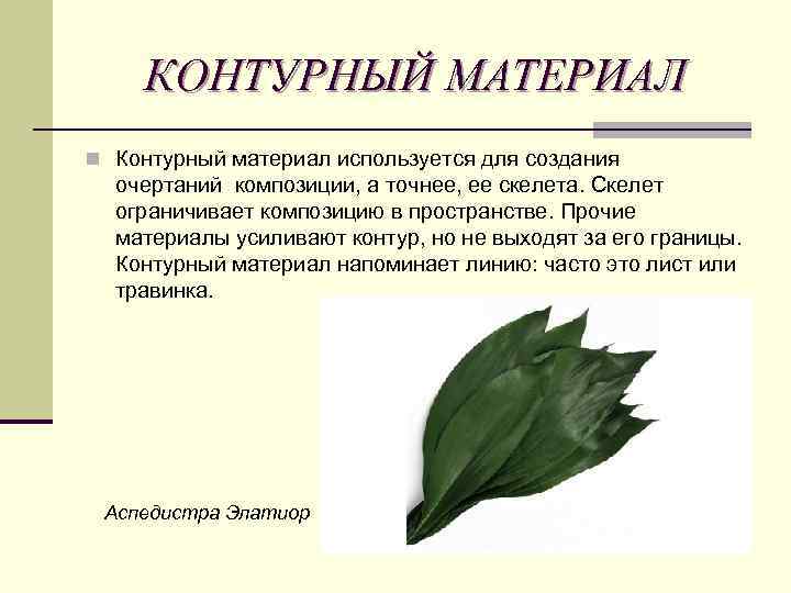 КОНТУРНЫЙ МАТЕРИАЛ n Контурный материал используется для создания очертаний композиции, а точнее, ее скелета.