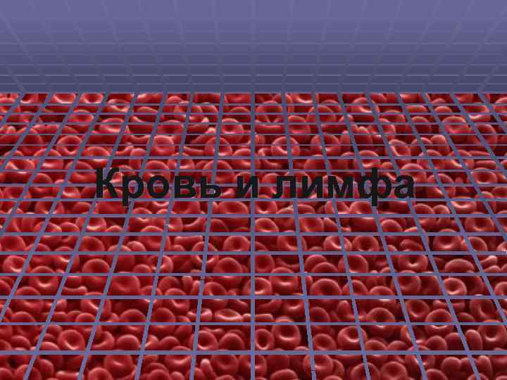 Кровь и лимфа 