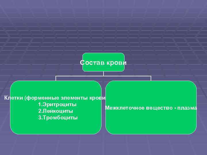 Состав крови Клетки (форменные элементы крови) 1. Эритроциты Межклеточное вещество - плазма 2. Лейкоциты