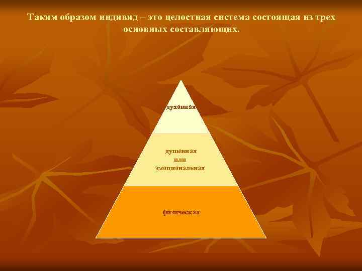 Таким образом индивид – это целостная система состоящая из трех основных составляющих. духовная душевная