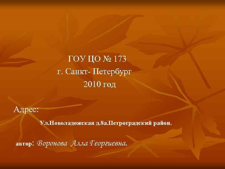  ГОУ ЦО № 173 г. Санкт- Петербург 2010 год Адрес: Ул. Новоладожская д.