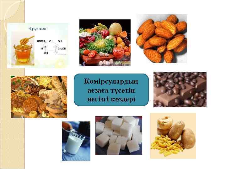 Көмірсулардың ағзаға түсетін негізгі көздері 