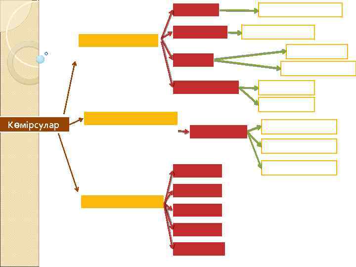 Көмірсулар 