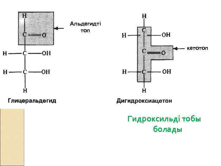 Альдегидті топ кетотоп Гидроксильді тобы болады 