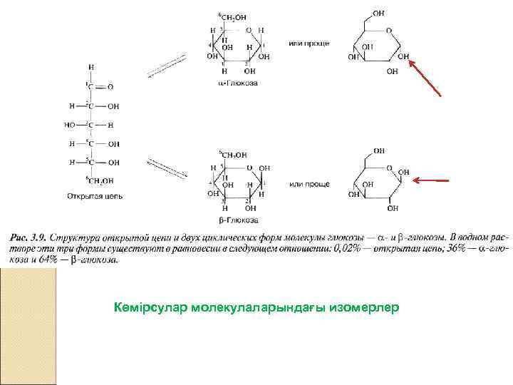 Көмірсулар молекулаларындағы изомерлер 