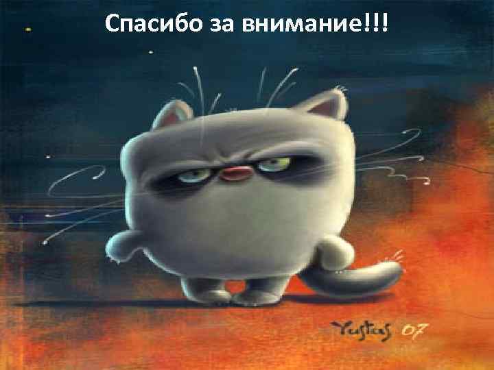 Спасибо за внимание!!! 