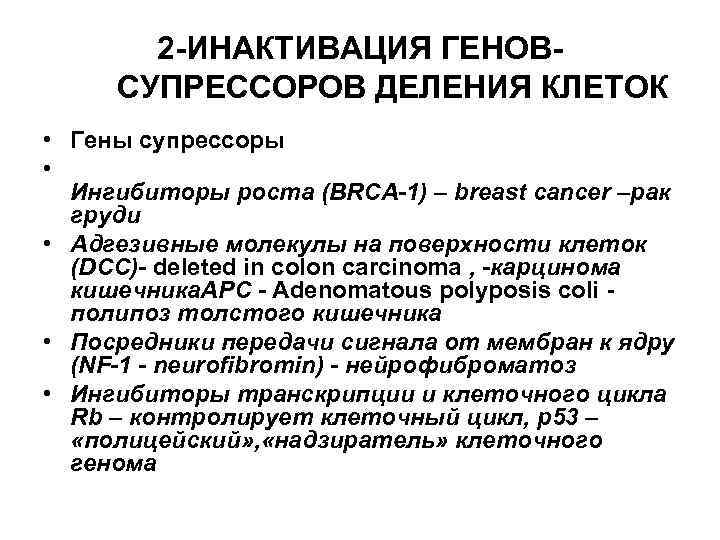 2 -ИНАКТИВАЦИЯ ГЕНОВСУПРЕССОРОВ ДЕЛЕНИЯ КЛЕТОК • Гены супрессоры • Ингибиторы роста (BRCA-1) – breast