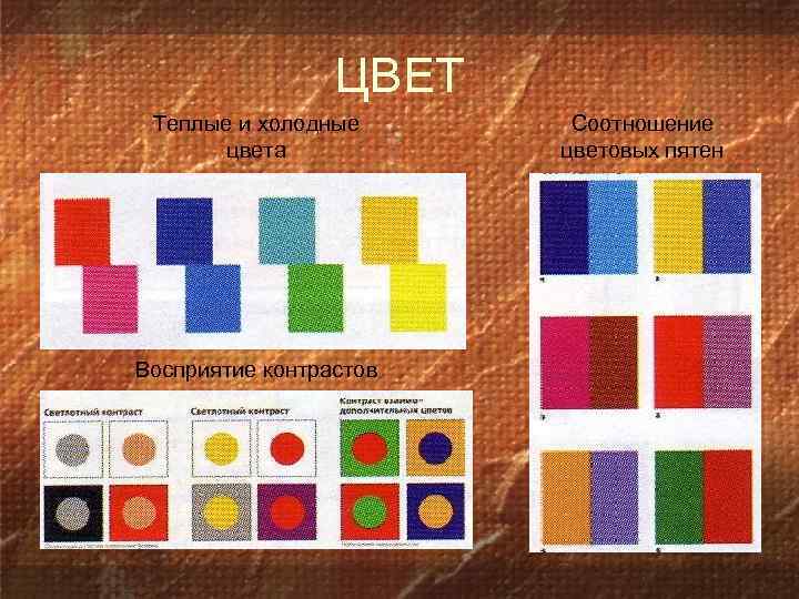 ЦВЕТ Теплые и холодные цвета Восприятие контрастов Соотношение цветовых пятен 