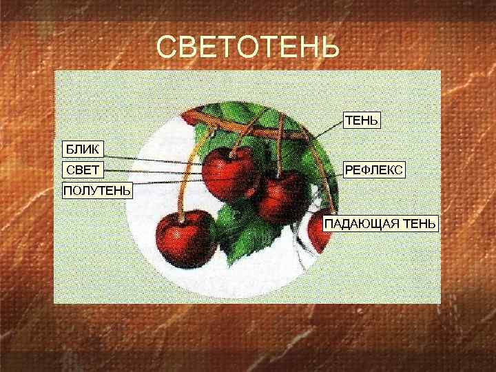 Покажите где на этом рисунке расположены блик свет полутень собственная тень рефлекс и падающая тень