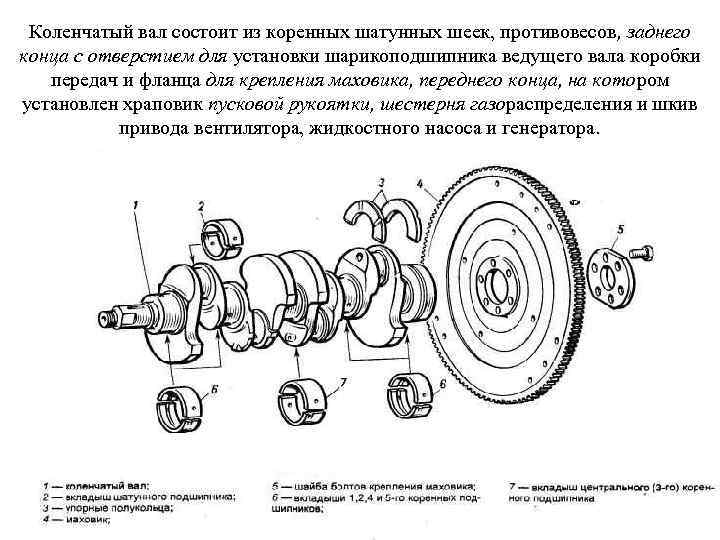 Коленчатый вал состоит из коренных шатунных шеек, противовесов, заднего конца с отверстием для установки