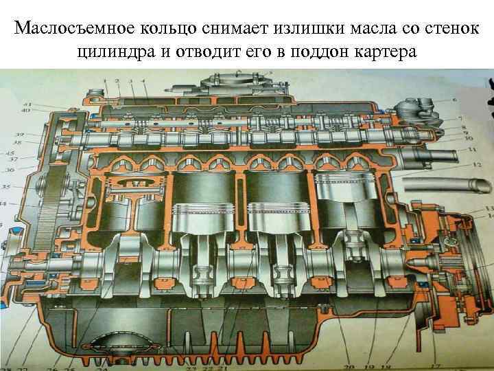 Маслосъемное кольцо снимает излишки масла со стенок цилиндра и отводит его в поддон картера