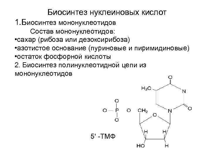 Происходит синтез нуклеиновой кислоты. Схема синтеза пуриновых мононуклеотидов. Синтез пуриновых мононуклеотидов. Фосфорилирование мононуклеотидов. Нуклеиновые кислоты биохимия формулы.