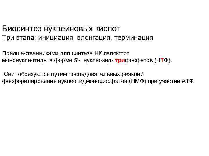Биосинтез нуклеиновых кислот Три этапа: инициация, элонгация, терминация Предшественниками для синтеза НК являются мононуклеотиды