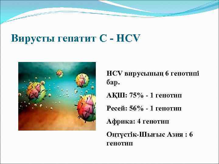 Генотип 2 вируса гепатита с