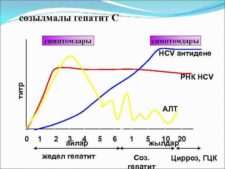 созылмалы гепатит С симптомдары HCV антидене титр РНК HCV AЛT 0 1 2 3