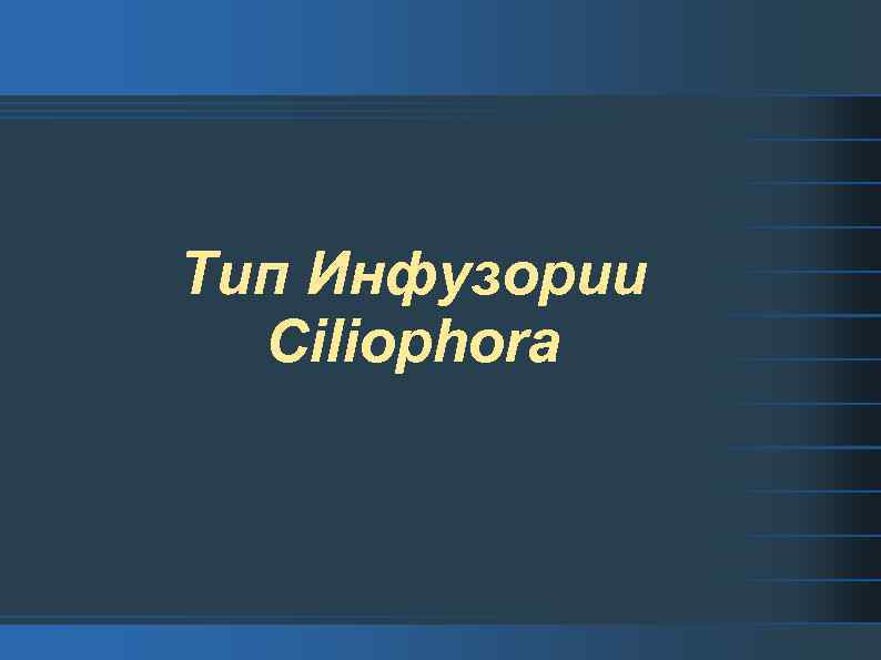 Тип Инфузории Ciliophora 