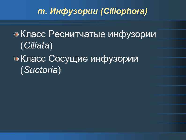 т. Инфузории (Ciliophora) Класс Реснитчатые инфузории (Ciliata) Класс Сосущие инфузории (Suctoria) 
