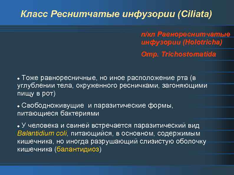 Класс Реснитчатые инфузории (Ciliata) п/кл Равнореснитчатые инфузории (Holotricha) Отр. Trichostomatida Тоже равноресничные, но иное