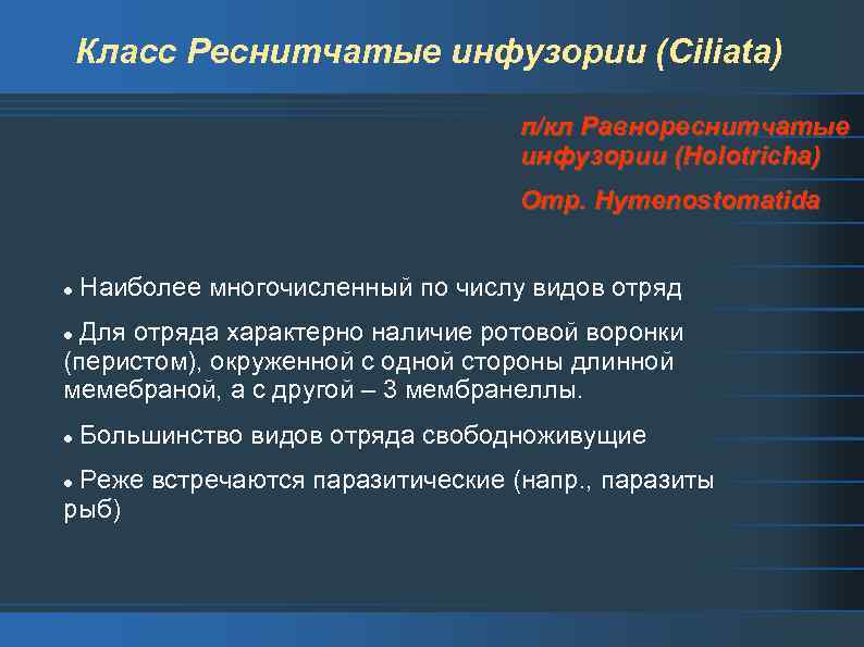 Класс Реснитчатые инфузории (Ciliata) п/кл Равнореснитчатые инфузории (Holotricha) Отр. Hymenostomatida l Наиболее многочисленный по