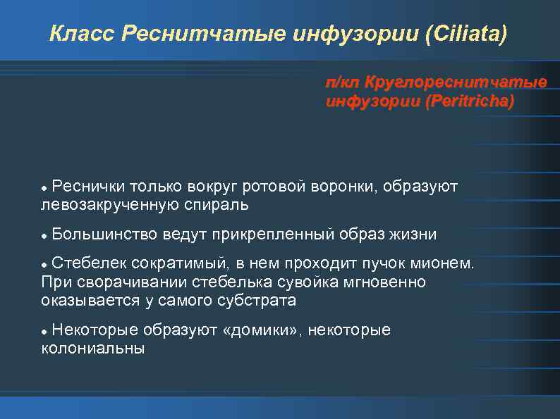 Класс Реснитчатые инфузории (Ciliata) п/кл Круглореснитчатые инфузории (Peritricha) Реснички только вокруг ротовой воронки, образуют