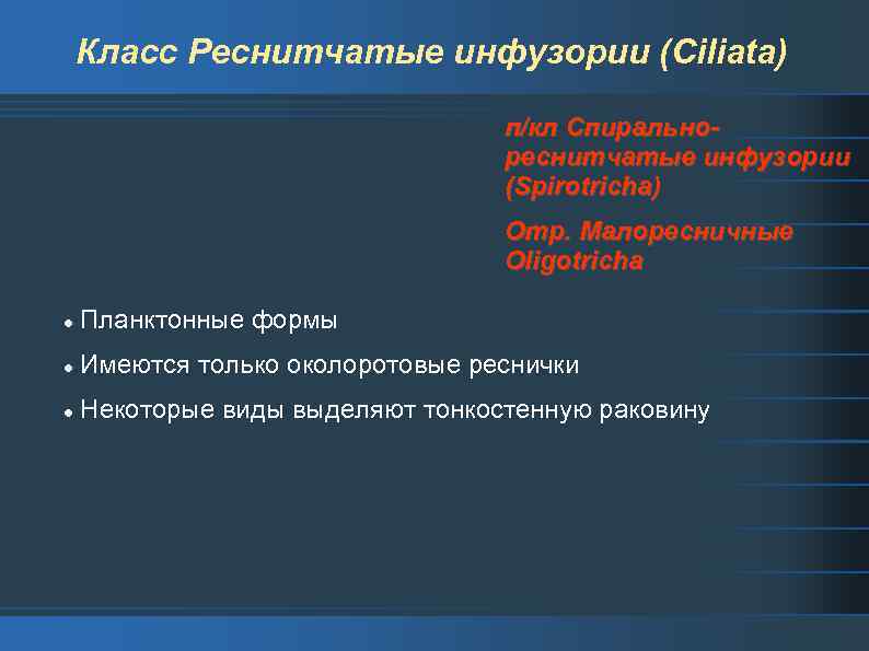 Класс Реснитчатые инфузории (Ciliata) п/кл Спиральнореснитчатые инфузории (Spirotricha) Отр. Малоресничные Oligotricha l Планктонные формы