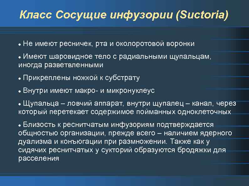 Класс Сосущие инфузории (Suctoria) l Не имеют ресничек, рта и околоротовой воронки Имеют шаровидное