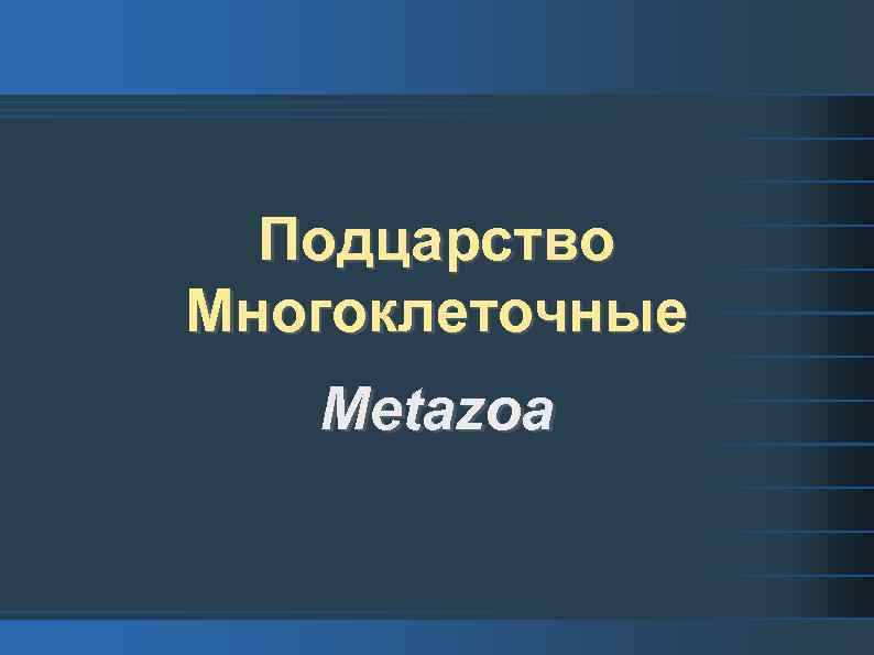 Подцарство Многоклеточные Metazoa 