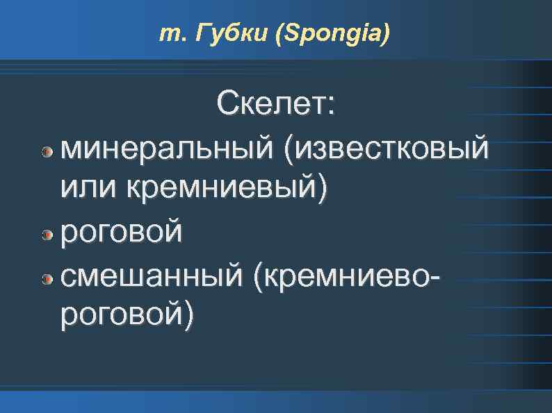 т. Губки (Spongia) Скелет: минеральный (известковый или кремниевый) роговой смешанный (кремниевороговой) 