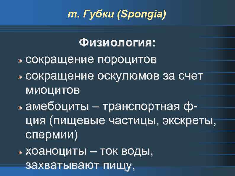 т. Губки (Spongia) Физиология: сокращение пороцитов сокращение оскулюмов за счет миоцитов амебоциты – транспортная