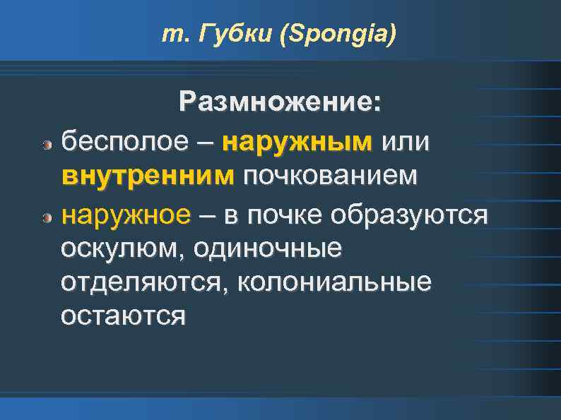 т. Губки (Spongia) Размножение: бесполое – наружным или внутренним почкованием наружное – в почке