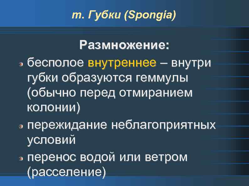 т. Губки (Spongia) Размножение: бесполое внутреннее – внутри губки образуются геммулы (обычно перед отмиранием