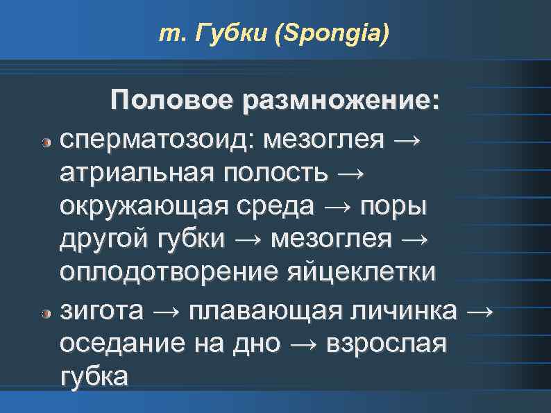 т. Губки (Spongia) Половое размножение: сперматозоид: мезоглея → атриальная полость → окружающая среда →
