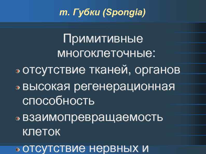 т. Губки (Spongia) Примитивные многоклеточные: отсутствие тканей, органов высокая регенерационная способность взаимопревращаемость клеток отсутствие