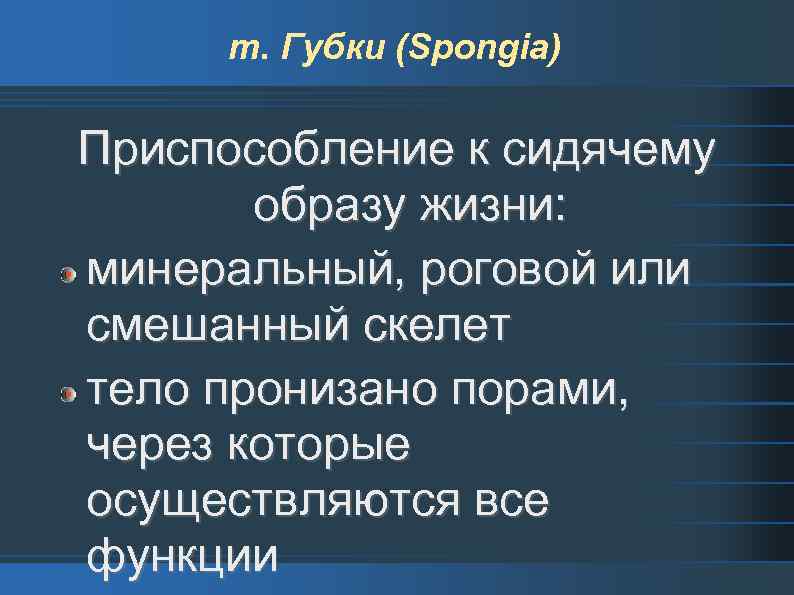 т. Губки (Spongia) Приспособление к сидячему образу жизни: минеральный, роговой или смешанный скелет тело