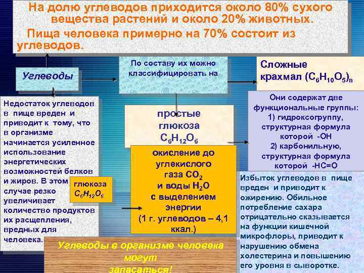 На долю углеводов приходится около 80% сухого вещества растений и около 20% животных. Пища