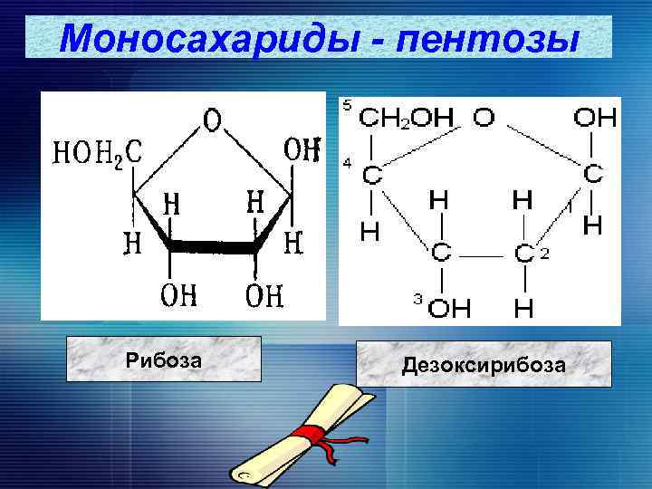 Рибоза структурная. Формула Глюкозы пентозы. Глюкоза и рибоза. Рибоза группа углеводов. Глюкоза рибоза фруктоза формула.