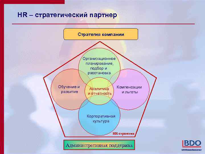 HR – стратегический партнер Стратегия компании Организационное планирование, подбор и расстановка Обучение и развитие