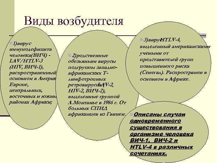 Виды возбудителя n 3)вирус HTLV-4, n 1)вирус иммунодефицита человека(ВИЧ) LAV/HTLV-3 (HIV, ВИЧ-1), распространенный в