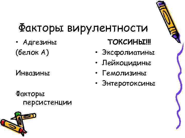 Факторы вирулентности • Адгезины (белок А) Инвазины Факторы персистенции • • ТОКСИНЫ!!! Эксфолиатины Лейкоцидины