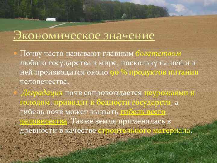 Экономическое значение Почву часто называют главным богатством любого государства в мире, поскольку на ней