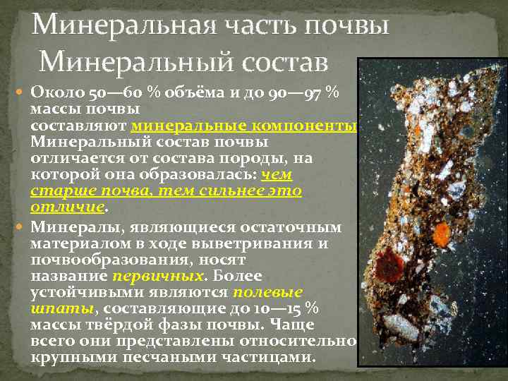 Минеральная часть почвы Минеральный состав Около 50— 60 % объёма и до 90— 97