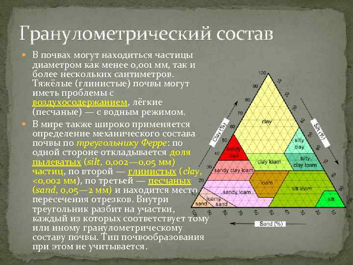 Гранулометрический состав В почвах могут находиться частицы диаметром как менее 0, 001 мм, так
