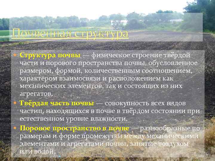 Почвенная структура Структура почвы — физическое строение твёрдой части и порового пространства почвы, обусловленное