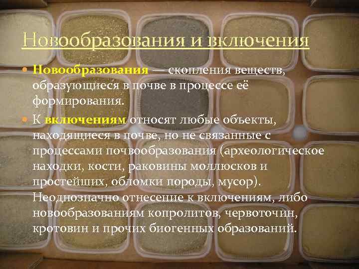 Новообразования и включения Новообразования — скопления веществ, образующиеся в почве в процессе её формирования.