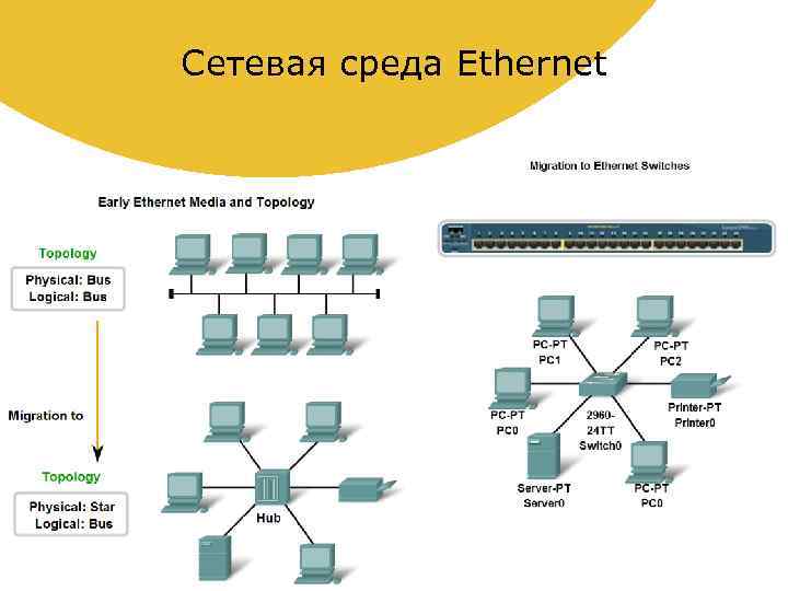 Сетевая среда. Схема сети Ethernet. Локальная сеть Ethernet. Топология сети Ethernet.